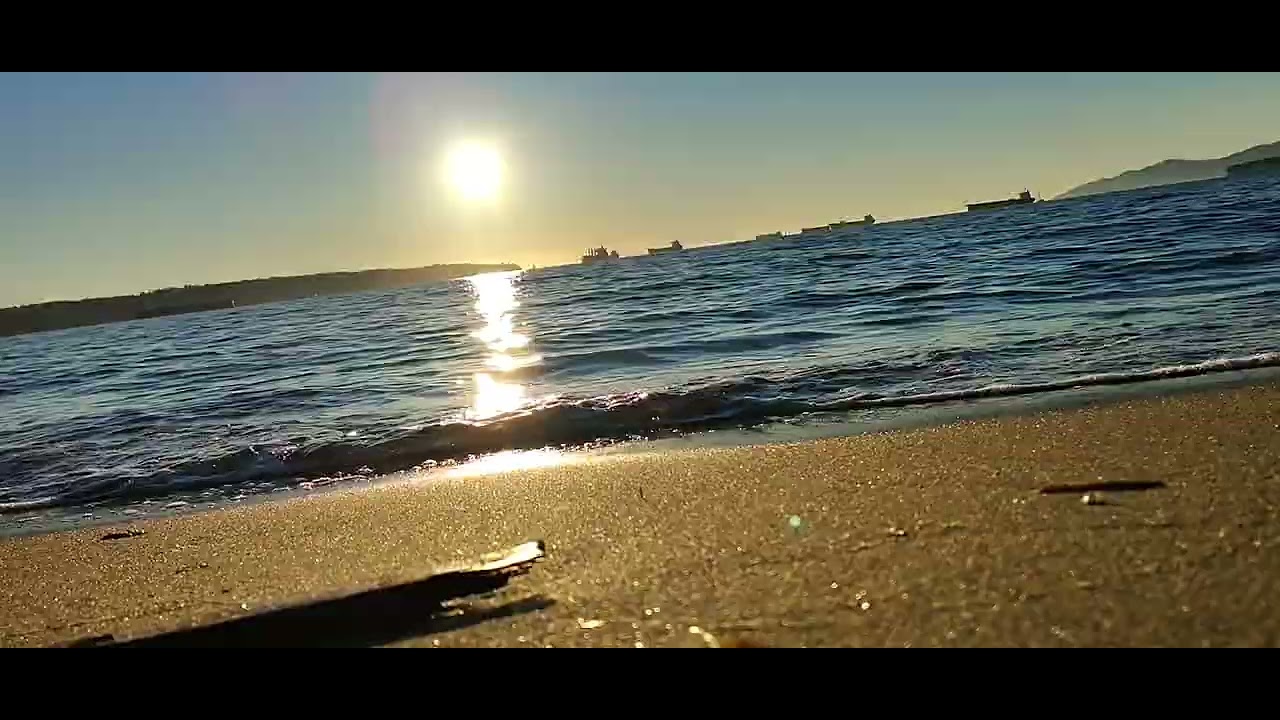 Wonderful evening at Second Beach in Vancouver.