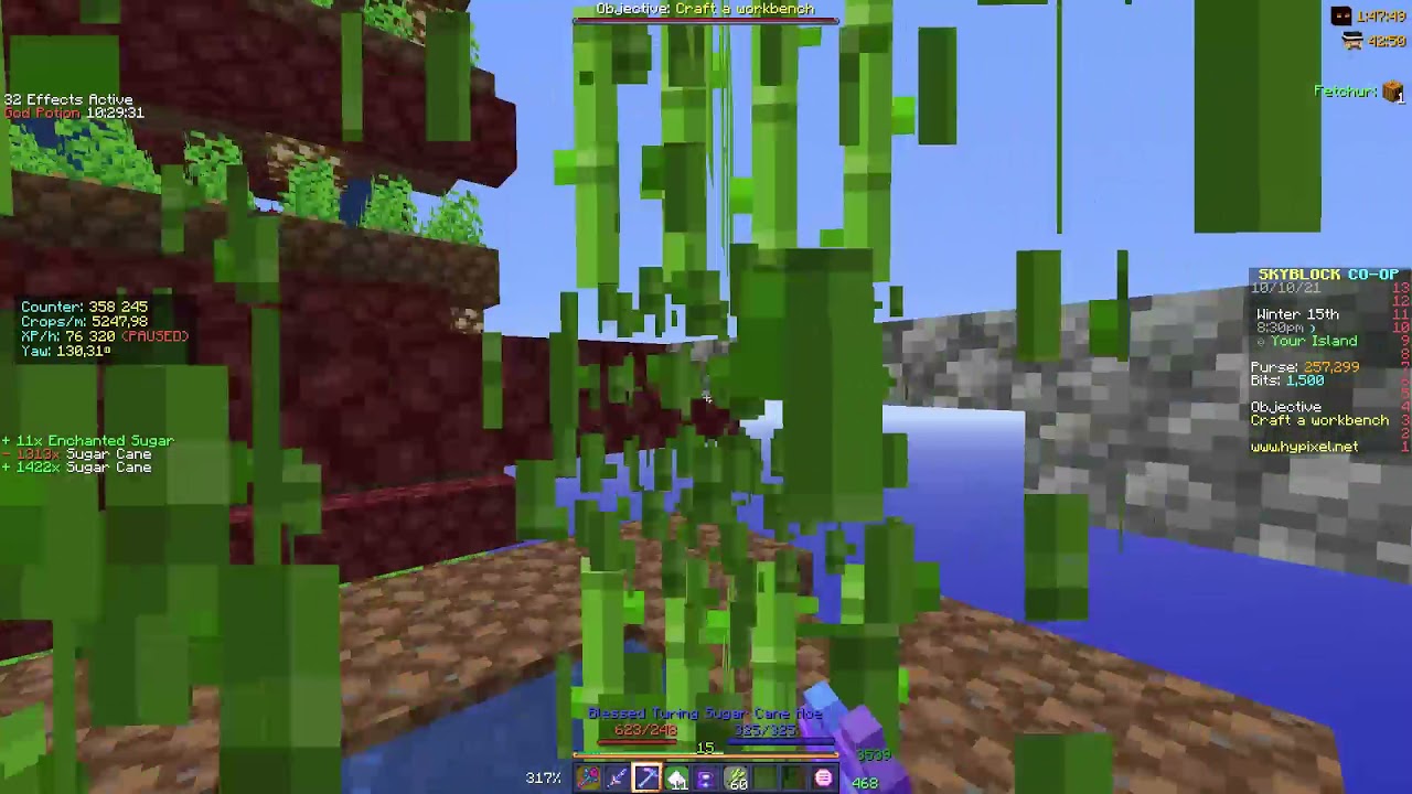 Shop Homepage Skillbase