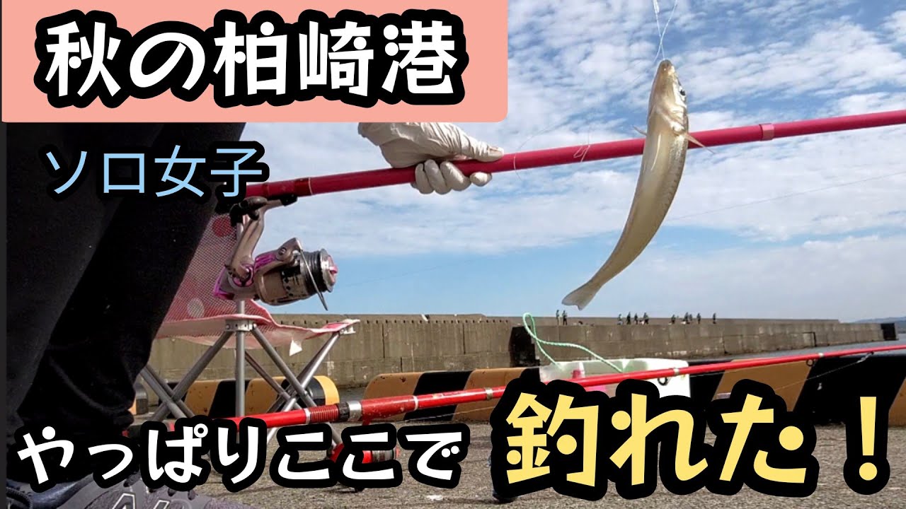 柏崎港ちょい投げ五目釣り。キス。ウェイク車中泊で人工股関節11ヶ月6時間釣りっぱなし！50代お一人様女子