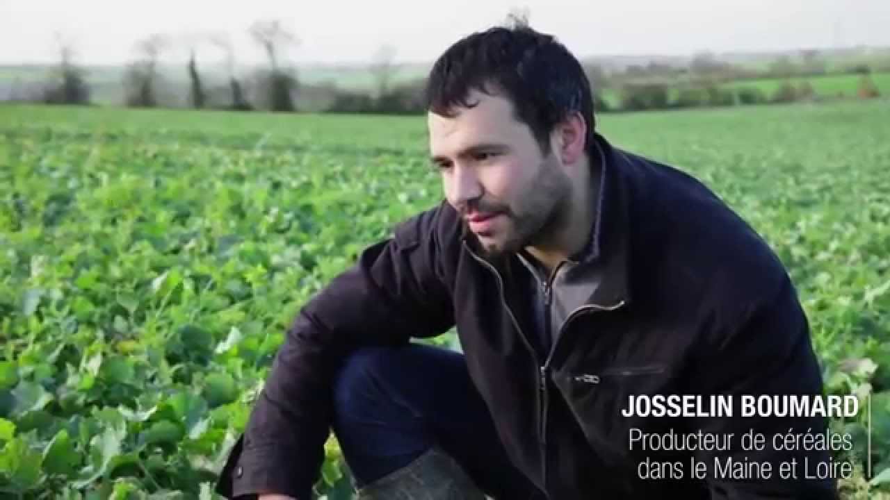 Les plantes compagnes