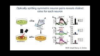 Scientist Stories: Jason Chin, Reprogramming the Genetic Code