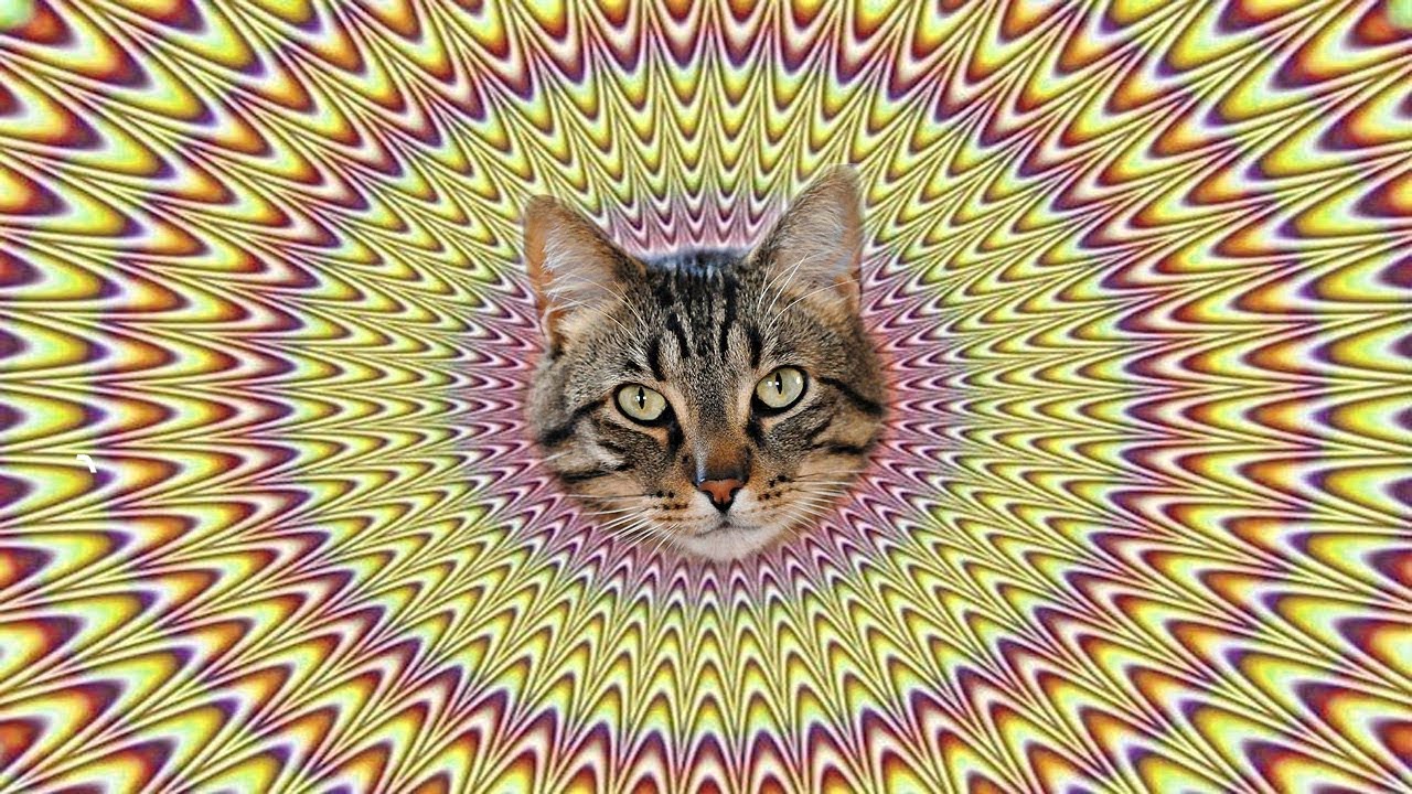 इस वीडियो को देखने के बाद 95 लोग स्वस्थ नहीं रह सके 5 MINDBLOWING