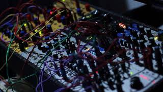 Plonk Vs Basimilus Iteritas Feat. Ubraids Furthrrrr