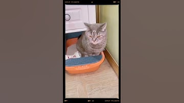 Top Clip Triệu View Tiktok , Cú Sốc Đầu Đời (P409) #shorts