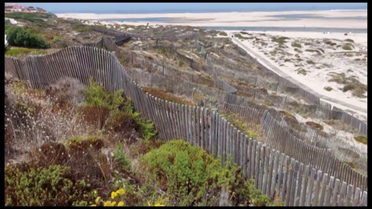 Sand Fence to control wind erosion at dunes Foz do Arelho Portugal