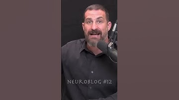 NeuroBlog #12 ▸ On exteroception. #exteroception #perception #outward