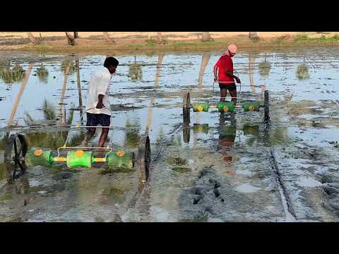 Efficient Paddy Farming: Drum Seeder Technology Reduces Labor & Seed Cost | Vintage Farmers - video from Gone-Farmers