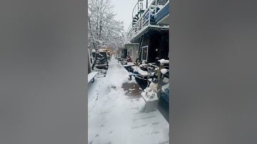 Toronto Floating Homes - A walk along the dock in winter