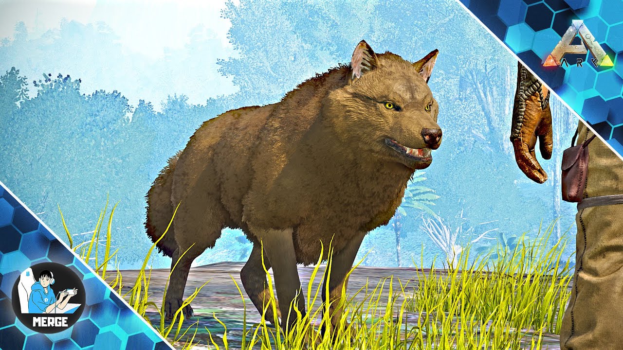 Dire Wolf Exact Ca In Realitate! | Ark #12