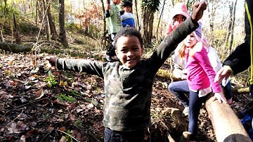 Forest School in Public Education - A live seminar with David Sobel