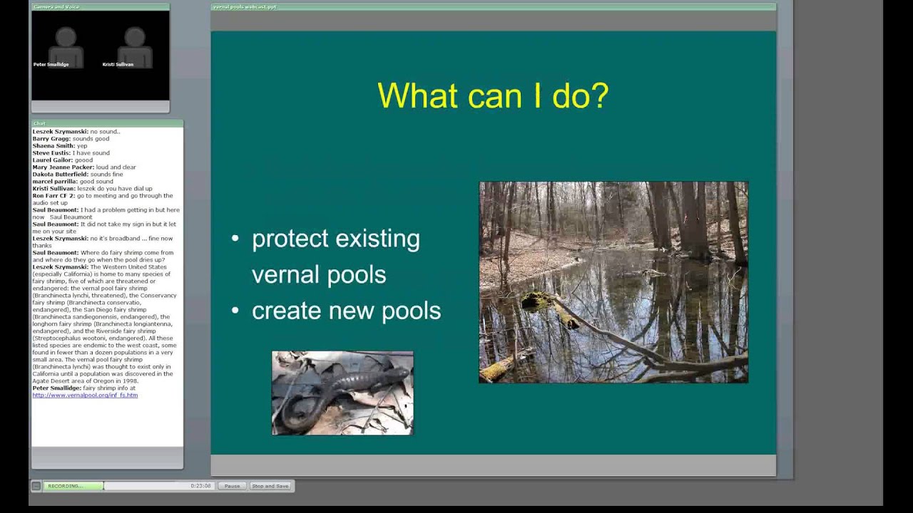 Creating forest vernal pools for wildlife
