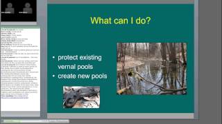 Creating forest vernal pools for wildlife