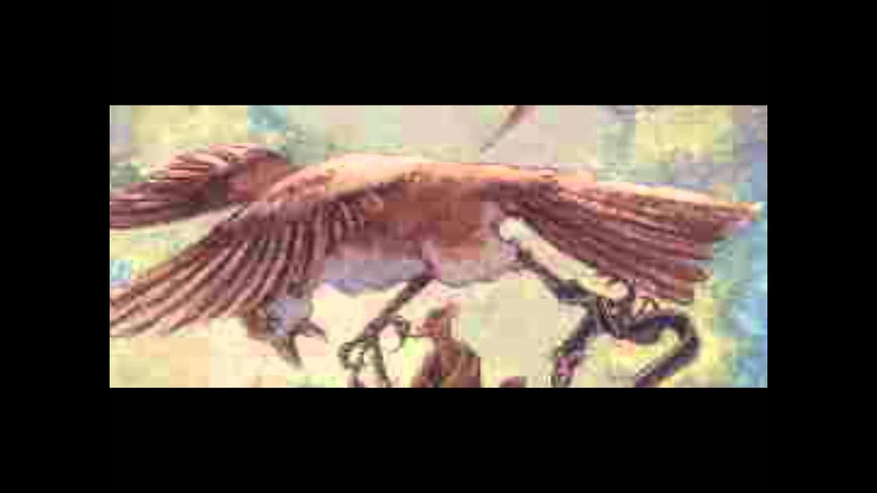 Redwall Trailer YouTube