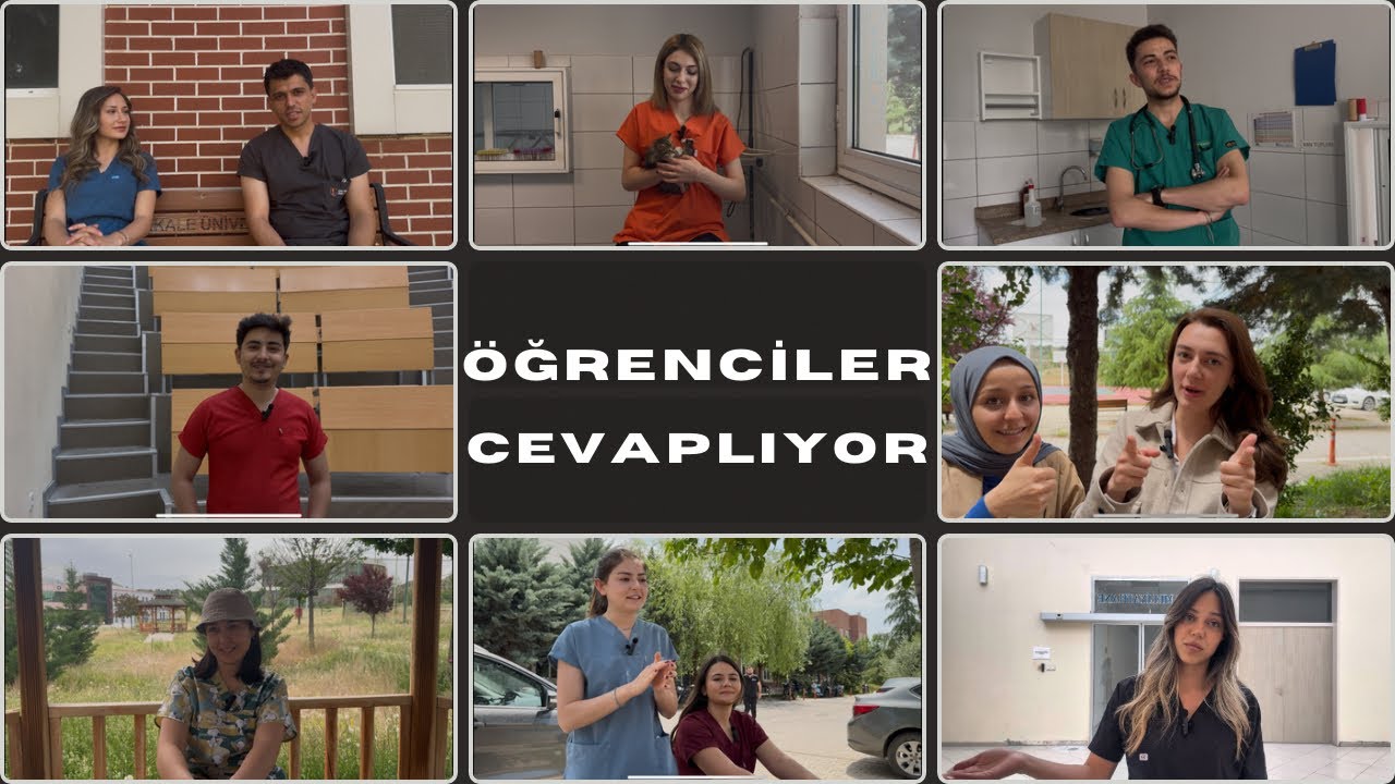 Veteriner fakültesini neden seçmelisiniz? Neden seçmemelisiniz? | Avantajları - Dezavantajları