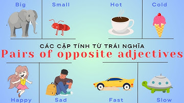 Tính Từ Trái Nghĩa - Bé Học Tiếng Anh Tính Từ Trái Nghĩa - OPPOSITE ADJECTIVES IN ENGLISH