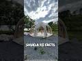 Unique tent house 🏡| New Viral Gadgets, Smart Appliances, Kitchen Utensils/ Home Inventions