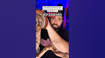 This is How OFTEN You Should Be Deep CLEANING Your Snake Enclosure! #snakecare