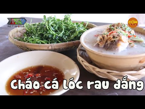 Top Food | Phát thèm với món CHÁO CÁ LÓC RAU ĐẮNG đậm vị quê hương