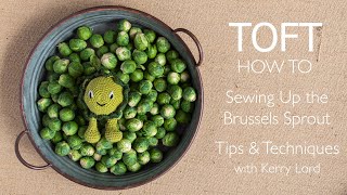 How to Sew Up and Finish the Brussels Sprout
In this video, Kerry Lord demonstrates the techniques for stuffing, sewing and finishing the Brussels Sprout, part of the Alexandra’s Garden collection of crochet toy plants, vegetables and flowers. Please note the techniques are shown for reference only. Full instructions are included with your pattern.
CHAPTERS
00:00 Introducing the Brussels Sprout
00:37 Adding stuffing
00:47 Attaching the leaves together with dc
02:06 Positioning and sewing on the leaves
03:53 Sewing the legs into position
06:09 Sewing the facial features into place
Want to know more about TOFT?
Find out at toftuk.com, or follow us on Instagram @toft_uk How to Sew Up and Finish the Brussels Sprout