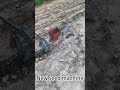 You’ve never seen a three-legged toad, but have you ever seen a two-legged seed drill?