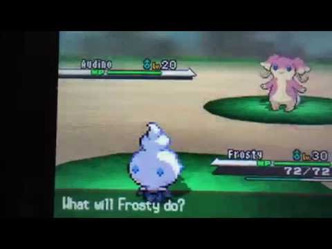 How to audino train in Pokemon black