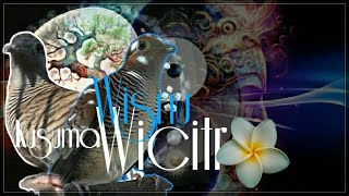 Download Lagu REVIEW PERKUTUT LENGKAP‼PENGHITUNGAN PONCO SUDO  BURUNG PERKUTUT KATURANGGAN KUSUMO WICITRO MP3