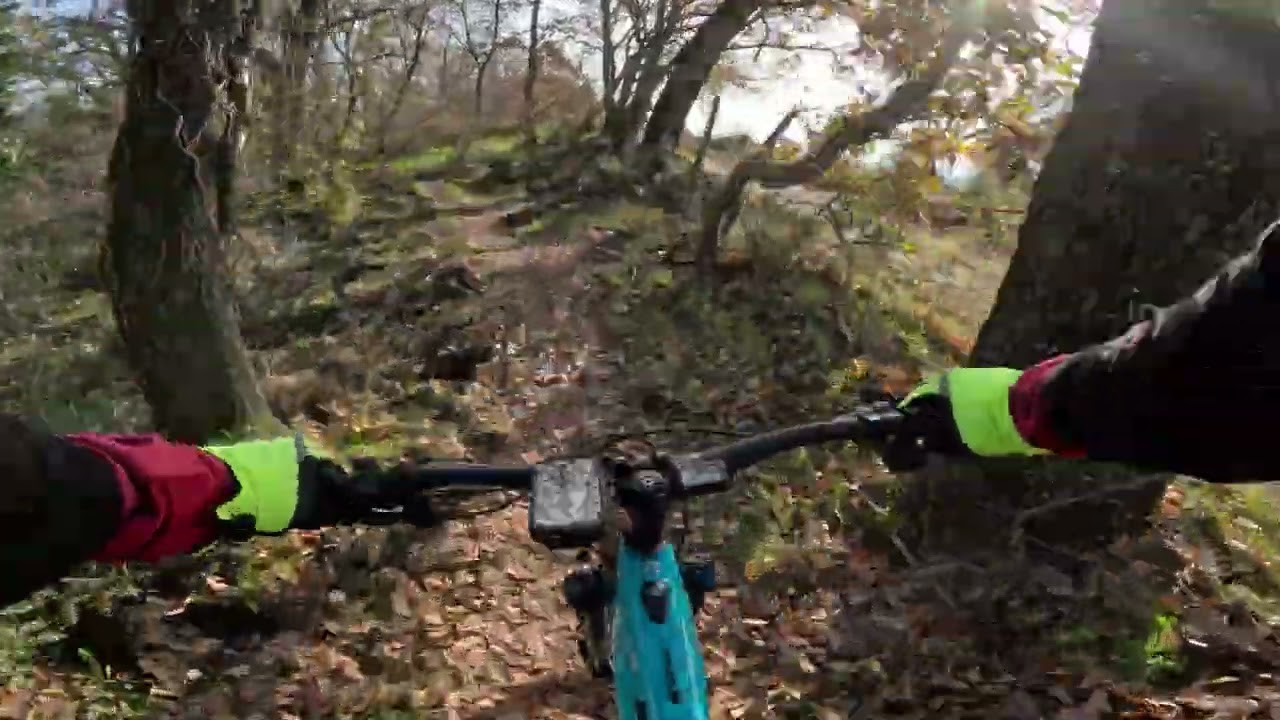 Formello - Trail Volpe