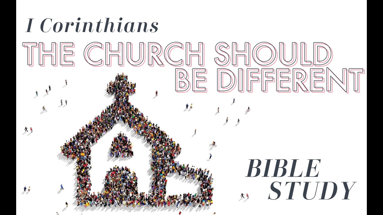 I Corinthians Bible Study - Week 5 - YouTube