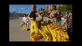 Miniatura de "BAILAME MORENA!-(Rumba)-VideoClip-Oficial - Cerrado Por Vacaciones"