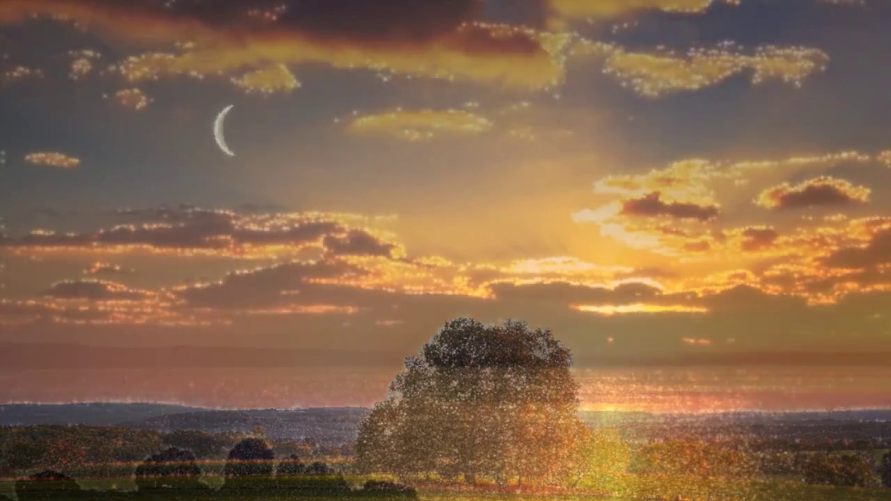 Stars whisper/Шепот звезд