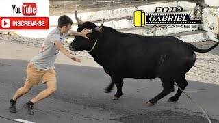 Tourada à corda na Feteira, 6 de outubro de 2018
