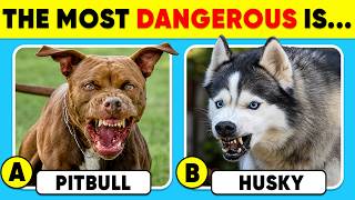 How Good Is Your Knowledge of DOG ANIMALS? 🦴🐶✅ General Knowledge Trivia Quiz