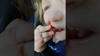 Devil Fruit and Minecraft blind bag