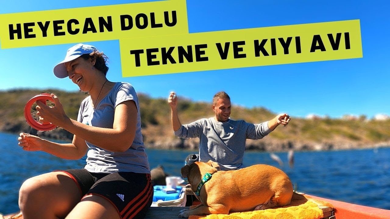 Köpek ile Teknede Balık Avı | Canlı Balık Avı Denemesinde Levrek Takibi!