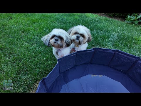 ドッグプール 手作り ドッグプール 手作り Build a Dog Wading Pool