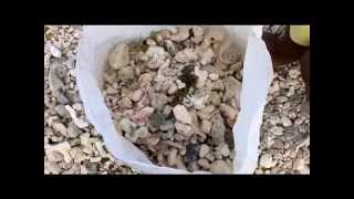 Building a Solution to Beach Mining in South Tarawa