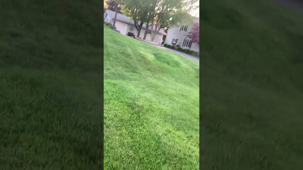 Off leash dog growls at my dog...