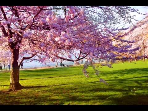 Vivaldi - Spring Ringtone!