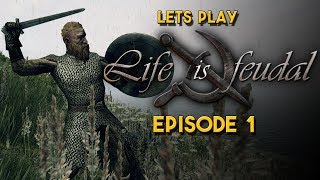 Life is Feudal Your Own | Let's Play | A nicely Terraformed area all to ourselves