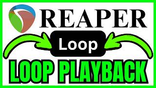 How To LOOP PLAYBACK In REAPER (QUICK & EASY) 2026