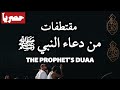من دعاء النبي ﷺ بصوت محمد خليل Collection Of The Prophet S Duaas By Mohamed Khalil 