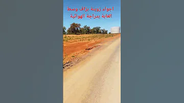 الغابة اكسبلور 