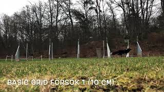 Basic Grid & Set Point 1.1