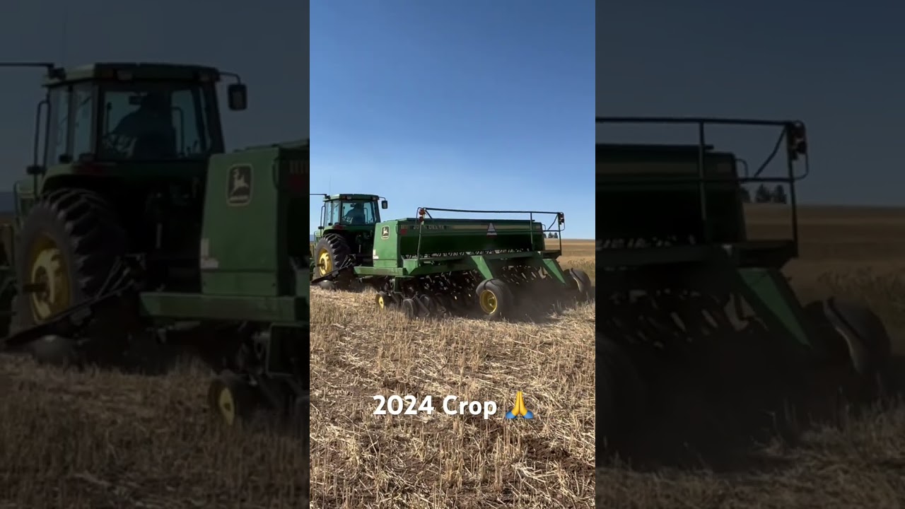 Seeding 2024 wheat crop with John Deere 750 no-till drill