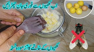 How To Get Rid Of House Flies At Home | Easy Tip To Get Rid of Bees and Flies | Daily Life Hacks