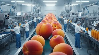 Famous Inside a Modern PEACH Factory: From Fresh to Premium Peach Juice (The Whole Process) Profile