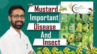PLANT DISEASES SERIES | MUSTARD INSECT & DISEASES | LECTURE- 4 | AGRIMENTORS CHANDIGARH