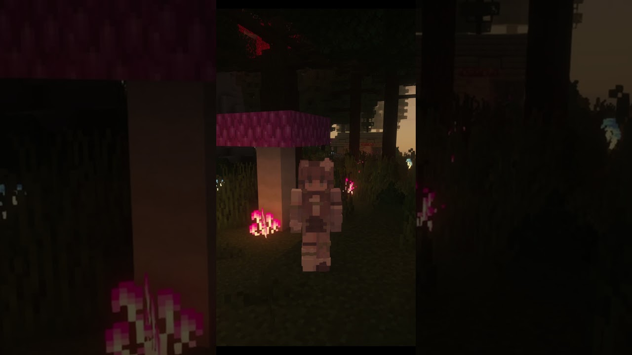 Whimsywood: Wizards & Witches 🪄 My CurseForge Modpack: Link in Description 🪄 ch1