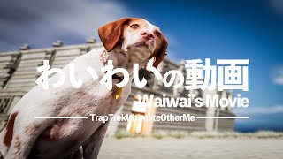 絶対に初見ではクリアできないゲーム【TrapTrekUltimateOtherMe】