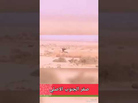ياجماعه الي يبقى فزعتي يظهر لي حسن النوايا بقناتي هاي مالم يسكت